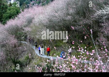 Huangshan, Anhui Chinas Provinz. 14 Feb, 2019. Besucher sehen die Landschaft von Maihuayu Dorf von Shexian County in der ostchinesischen Provinz Anhui, 14.02.2019. Die Punkte der Pflaume Blüten Herald die Ankunft des Frühlings. Credit: Pan Cheng/Xinhua/Alamy leben Nachrichten Stockfoto