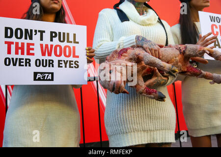 Store Studios, 180 The Strand, London. London, UK, 15. Feb 2019 - Drei Augen PeTA (Menschen für die ethische Behandlung von Tieren) Aktivisten tragen Vegane wolle Jumper und halten eine "blutige geschoren Proteste Lamm" am ersten Tag der London Fashion Week. Credit: Dinendra Haria/Alamy leben Nachrichten Stockfoto