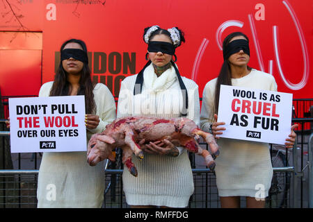 London, Großbritannien. 15 Feb, 2019. Drei Augen PeTA (Menschen für die ethische Behandlung von Tieren) Aktivisten gesehen Tragen vegane wolle Pullover und eine ''blutige geschorenem Lamm'' mit Plakaten auf der London Fashion Week außerhalb des Store Studios, 180 The Strand, London protestiert. Credit: Dinendra Haria/SOPA Images/ZUMA Draht/Alamy leben Nachrichten Stockfoto