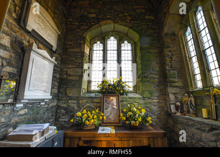 Narzissen in einer kleinen Kirche in Cornwall für eine narzissenfest Stockfoto