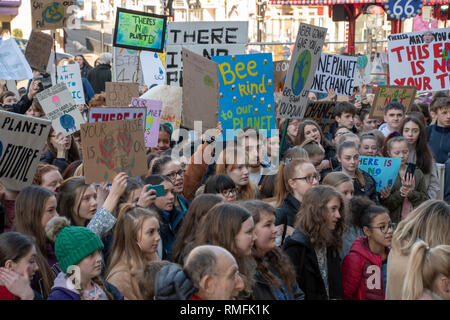 Sheffield, Großbritannien. 15 Feb, 2019. Junge Menschen Streik von der Schule, den Klimawandel bei Sheffield Rathaus # YouthStrike 4 Klima Klima Streik Gutschrift zu protestieren: Septemberlegs/Alamy leben Nachrichten Stockfoto