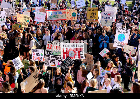 Bristol, UK. 15 Feb, 2019. Studenten und Schulkinder am College Green in Bristol gesammelt für ein Klima Streik, fordert von der Regierung, um Änderungen vorzunehmen. Eine Liste der Anforderungen wurde gebildet und an den Bürgermeister von Bristol von Bristols Jugendberater übergeben. Freier Fotograf, Lily Watts © Credit: Lily Watt/Alamy leben Nachrichten Stockfoto