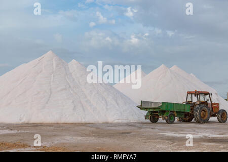 Salz Verarbeitung Ses Salines auf Mallorca mit Traktor Stockfoto