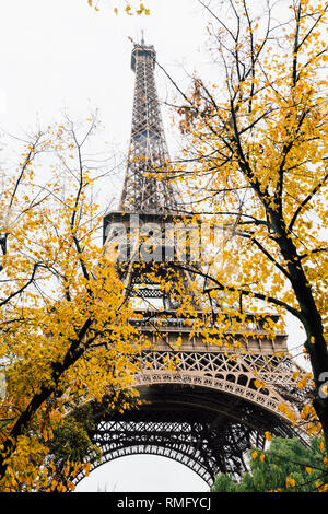 Paris (Frankreich) - Tour Eiffel in einer regnerischen Tag und natürlichen Farben des Herbstes Stockfoto