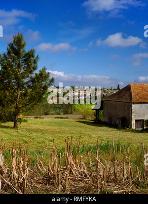 Anzeigen suchen N von Hirse Feld im Le Duo traditionelle Steinhaus aisled Bauernhaus, zu Dorf von St. Vivien de Monségur, in der Nähe von La Réole, Bordeaux. Stockfoto