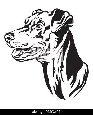 Dekorative Umrisse Portrait von Dog Deutsche Pinscher suchen im Profil, Vector Illustration in schwarzer Farbe auf weißem Hintergrund. Bild für desi Stock Vektor