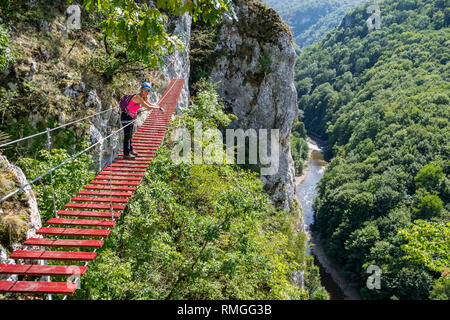 Weibliche Touristen auf einen Klettersteig Brücke in Vadu Crisului, Padurea Craiului Bergen, Rumänien, mit dem Crisul Repede verunreinigen/Schlucht unten schlängelt. Stockfoto