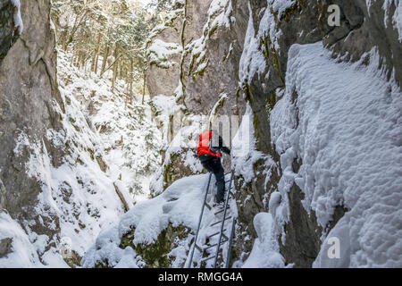 Wanderer klettern eine eiserne Leiter, eine Schlucht, während einer Winterwanderung, mit Felsen und Bäume um, mit frischem Schnee bedeckt - Sieben Leitern Canyon (Sap Stockfoto