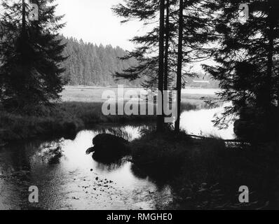 Bayerischer Wald - Blick auf den Großen Arbersee. Stockfoto