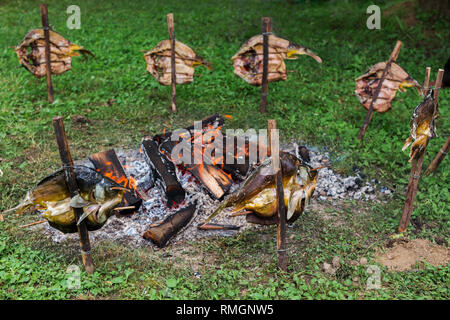 Lagerfeuer zum Grillen von Fisch im Garten. Kochen Fisch auf Stöcke Stockfoto