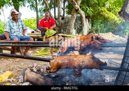 Tongatapu, Tonga - Jan 10 2014: Eine Gruppe von Einheimischen indigenen Polynesischen Männer funktioniert ein Schweinefleisch Grillen von kleinen Ferkeln auf einem offenen Feuer auf einem Tongan werden Stockfoto
