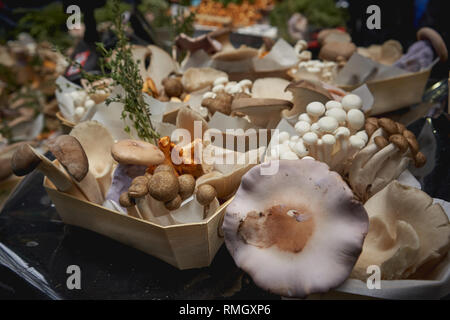 Verschiedene Arten von braunen und weissen Pilzen auf Verkauf zu einem Gemüse in einem lokalen Landwirt Marktstand. Querformat. Stockfoto