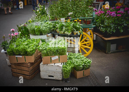 London, UK - Juni, 2018. Kräuter und Pflanzen außerhalb ein Blumengeschäft in Borough Market Stall. Stockfoto