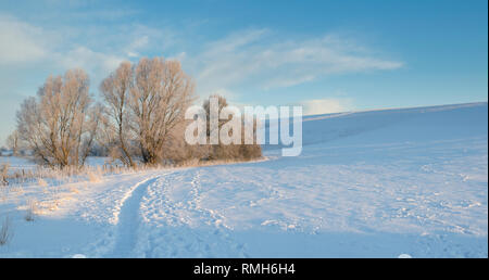 Verschneite Winterlandschaft und Frost bedeckt Hecke in Avebury, Wiltshire, England. Panoramablick