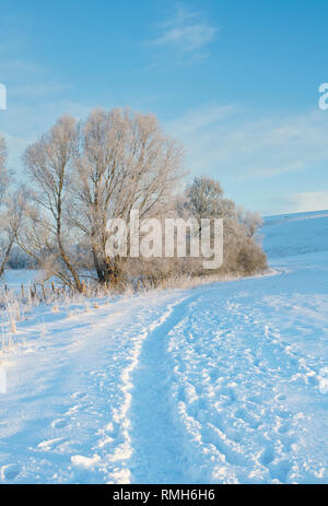 Verschneite Winterlandschaft und Frost bedeckt Hecke in Avebury, Wiltshire, England