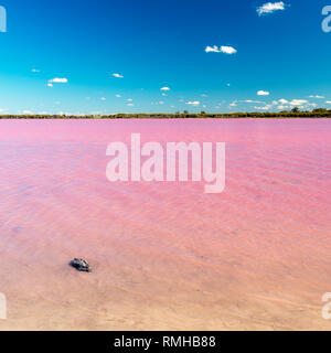 Pink Lake in der Nähe von Asien, Victoria in Australien unter strahlend blauem Himmel Stockfoto