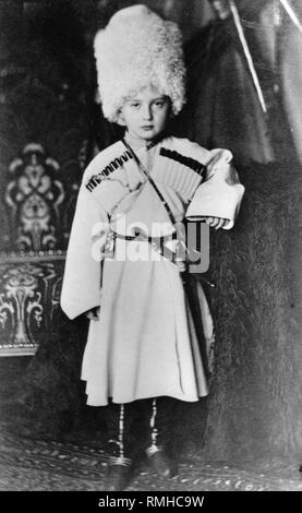 Portrait of Grand Duke Nicholas Mikhailovich von Russland (1859-1919). Albumin Photo Stockfoto