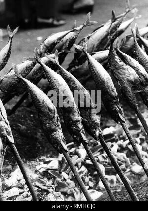 Steckerlfisch (Fisch vom Grill auf Sticks) auf dem Oktoberfest in München (undatiert). Stockfoto