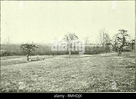 . Annalen der Warwickshire Hunt, 1795-1895, von authentischen Dokumenten. Pferde; Jagd. 206 Die WAEWICKSHIRE JAGD. [1890 laufen, die er je gesehen hat, denkt er, im April war. Ein Fuchs hatte töten Lämmer gewesen, und sie fand ihn in Gaydon Hill Feld. Es war im Jahre 1854. Jones war Jäger, und Herrn Spencer Lucy wurde auf Tipperary Junge. Herr Fairbrother war bescheiden, Maria, einer kleinen Bucht Mare. Sie liefen durch Northend und über Burton und Compton Hügel, durch Elkington der Spinney, Wormleighton Reservoir und unter Frau Cowper und Harbage der verdeckten, aber nicht ein. Dann sofort zurück, Fenny Kom Stockfoto