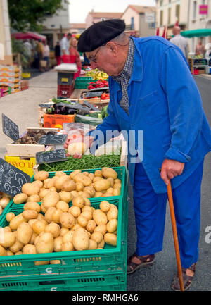 Älterer französischer Mann, der Gemüse auf dem Bram-Markt, einem Dorf neben dem Canal du Midi, in Südfrankreich, auswählt Stockfoto