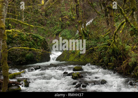 Wasserfall in Kolumbien River Gorge Stockfoto