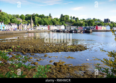 Blick auf die Stadt über den Hafen, Tobermory, Isle of Mull, Inner Hebrides, Argyll und Bute, Schottland, Vereinigtes Königreich Stockfoto