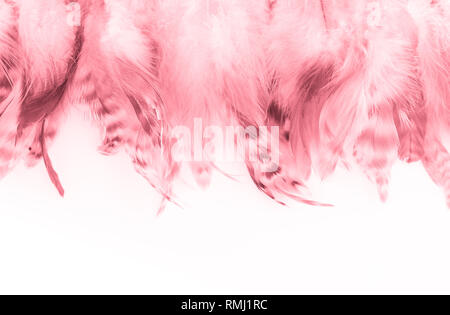 Trendy pink Coral Feder Textur Hintergrund Stockfoto