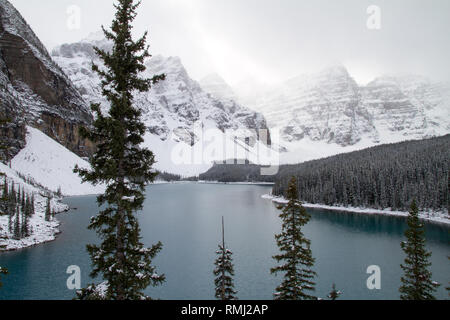 Mit Blick auf Lake Moraine als die Bäume und die Umgebung in einer Decke mit frischem Schnee bedeckt sind Stockfoto