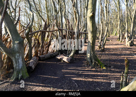 Dens oder Unterstände aus Protokollen und Stöcke im Wald gemacht Stockfoto