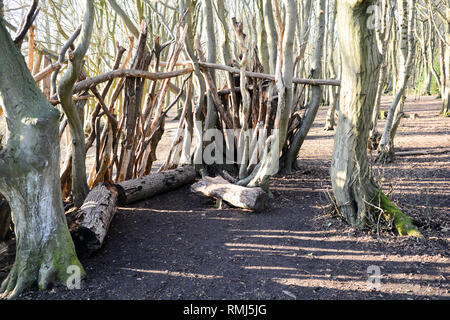 Dens oder Unterstände aus Protokollen und Stöcke im Wald gemacht Stockfoto