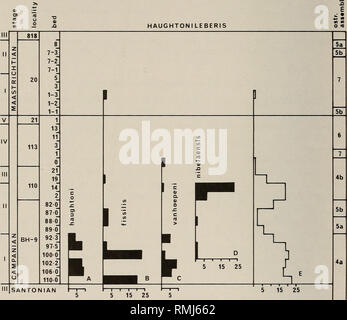 . Annalen der South African Museum = Annale van sterben Suid-Afrikaanse Museum. Natural History. 94 ANNALEN DER SOUTH AFRICAN MUSEUM Rückgang am Ende der Kampanischen war ich zu einem großen Teil eine phylogenetische Phänomen. Die Gattung ist in der maastrichtium durch einen Datensatz dargestellt nur: zwei Exemplare von H. ftssilis an der Lokalität 20 (mfolozi Flusses), aber die Nähe von H. radiatus (Eozän, Bohrloch JC-1, Dingle 1976) zu H. fissilis zeigt an, dass die Letztere Arten, oder eine Entwicklung, die lokal durch den Rest der Maastrichtium und Paläozän Zeiten überlebt.. Abb. 45. Verteilung der Haughtonileber Stockfoto