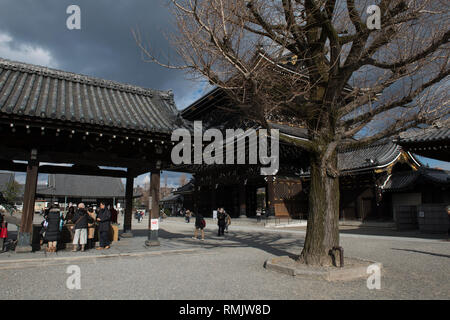 Drachen Brunnen, neben Baum, Higashi Honganji Tempel, Kyoto, Japan Stockfoto