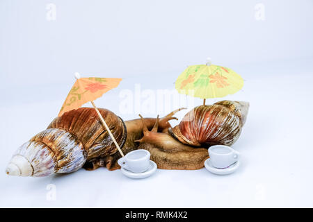 Closeup Foto von a zwei riesige Schnecken im Studio auf einem weißen glänzenden Oberfläche und verschwommenen Hintergrund mit Teetassen und Sonnenschirme für Cocktails auf Stockfoto