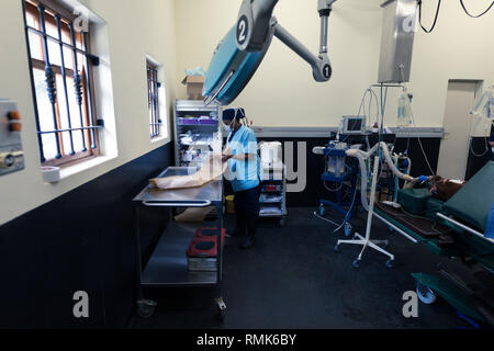 Weibliche Krankenschwester in Betrieb Theater arbeiten Stockfoto