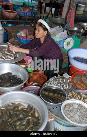 Frauen verkaufen Aalen, auf Street Market, Hanoi, Vietnam Stockfoto