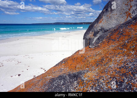 Orange Flechten auf Felsen an der Küste, Taylors Strand, Bucht von Bränden, Tasmanien, Australien