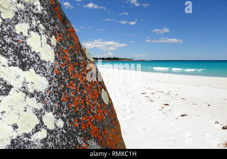 Orange Flechten auf Felsen an der Küste, Taylors Strand, Bucht von Bränden, Tasmanien, Australien Stockfoto