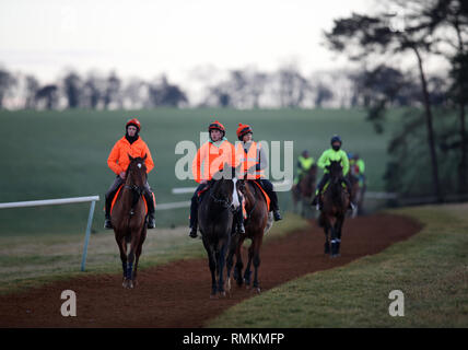 Die Pferde und ihre Reiter Übung entlang der Warren Hill galoppiert in Newmarket Suffolk. Pferderennen in Großbritannien wird morgen nach einem sechs Tag fortsetzen Stockfoto