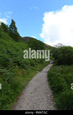 Auf dem Fußweg von Balmaha zu Conic Hill. Loch Lomond, Schottland, Großbritannien. Blick auf die Landschaft im Sommer (Juni 2018). Stockfoto