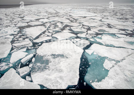 Arktischen Eis. In Spitzbergen, Svalbard, Norwegen fotografiert. Stockfoto