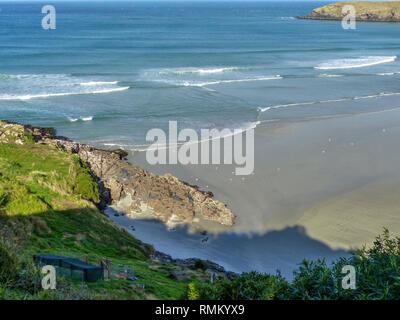 Neuseeland Seelöwen (Phocarctos hookeri) Kolonie am Sandy Bay, Enderby Insel Inseln, Auckland, Neuseeland. In Mar fotografiert. Stockfoto