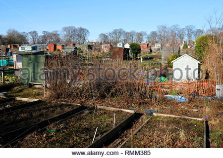 Kommunale Zuteilungen im städtischen Park Stockfoto