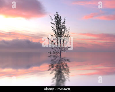 Einsamer Baum im Wasser Stockfoto