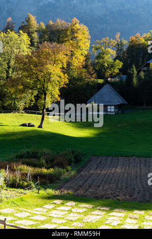 Schweiz, Brienzwiler. Ruhigen Herbst Landschaft im Freilichtmuseum Ballenberg. Bild auf den 13. Oktober 2018, Stockfoto