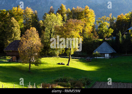 Schweiz, Brienzwiler. Ruhigen Herbst Landschaft im Freilichtmuseum Ballenberg. Bild auf den 13. Oktober 2018, Stockfoto