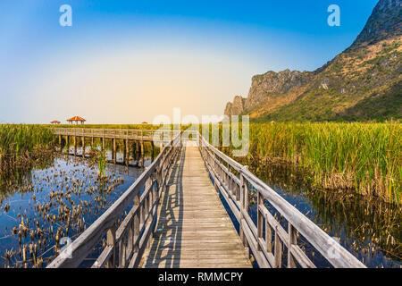 Die schöne Landschaft der hölzernen Brücke Gehweg im Sumpf mit Rasenfläche mit blauem Himmel Gebirge Hintergrund in Khao Sam Roi Yot Nationalpark, Kui Stockfoto