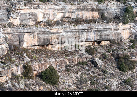 Die senkrechte Wand mit alten Felsenwohnungen in Walnut Canyon National Monument in Arizona, Vereinigte Staaten von Amerika. Stockfoto