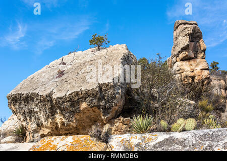 Felsbrocken in Walnut Canyon in Arizona, Vereinigte Staaten von Amerika. Stockfoto