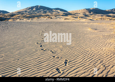 Sanddünen in der Mojave Wüste in Kalifornien. Stockfoto