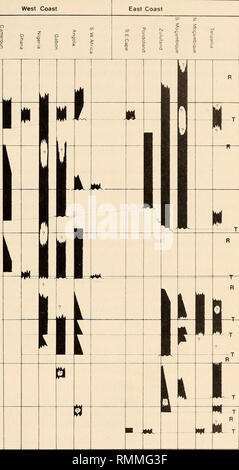 . Annalen der South African Museum = Annale van sterben Suid-Afrikaanse Museum. Natural History. Der kreidezeit STRATIGRAPHIE DER SÜDEN - Zentrales Afrika 103 West Coast. Maastrichtium kampanische Santonian Coniacium Turoniums Cenoman- aptium Neocomian Abb. 10. Ein Vergleich der bekannten Kreidezeit stratigraphic Sequences entlang der West- und Ostküste des südlichen Afrika. T ist der Beginn einer Marine trans Aggression während R Marken regressiver Phasen.. Bitte beachten Sie, dass diese Bilder aus gescannten Seite Bilder, die digital für die Lesbarkeit verbessert haben mögen - Färbung und Erscheinungsbild extrahiert werden Stockfoto